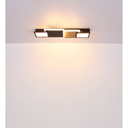 Globo 67279-30 - Plafonnier LED CAROLINE LED/30W/230V 25x71,5 cm beige/noir