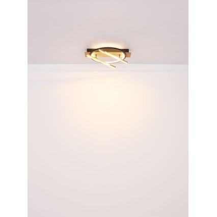 Globo - Plafonnier LED/32W/230V