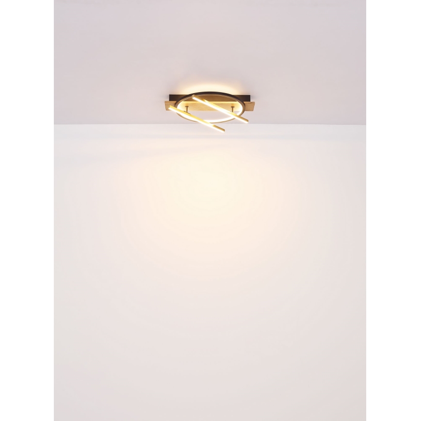Globo - Plafonnier LED/32W/230V