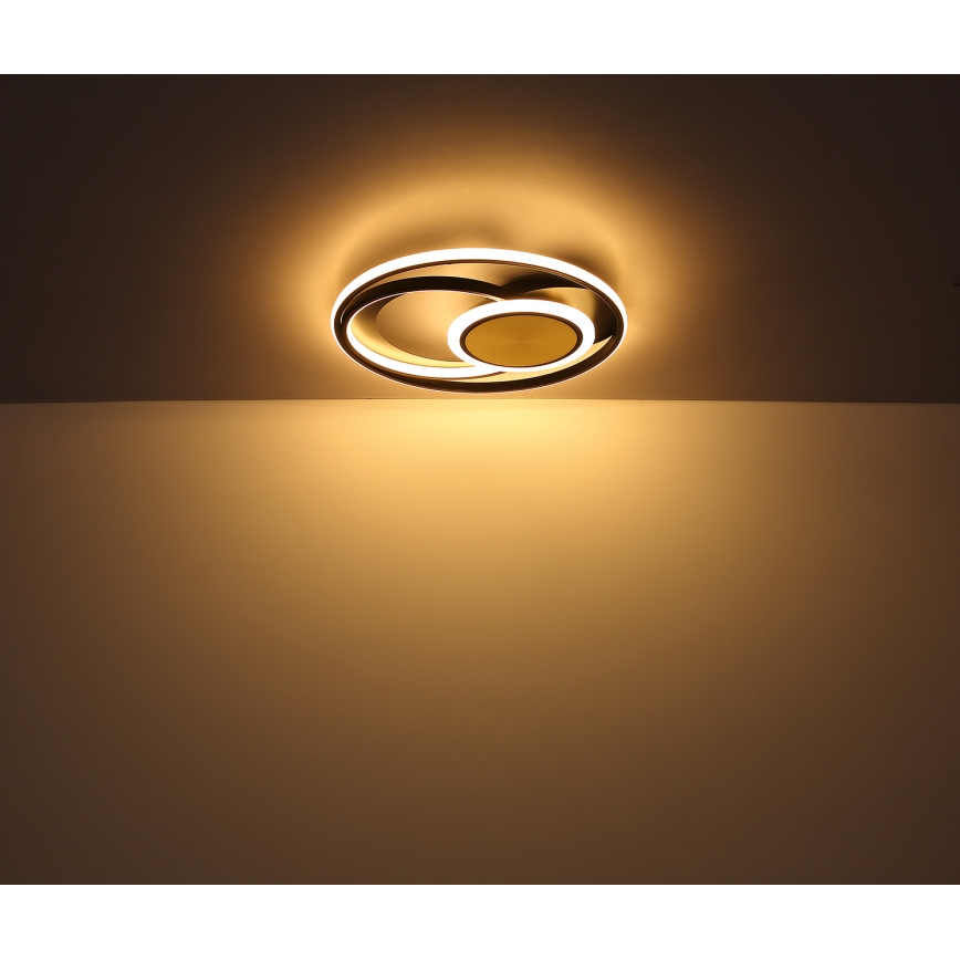 Globo - Plafonnier LED/24W/230V