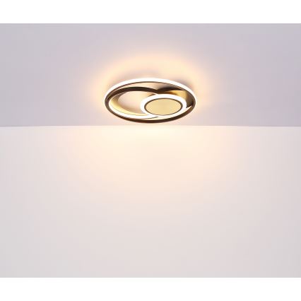 Globo - Plafonnier LED/24W/230V