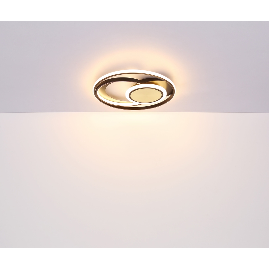 Globo - Plafonnier LED/24W/230V