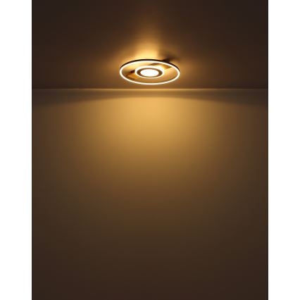 Globo - Plafonnier LED/24W/230V