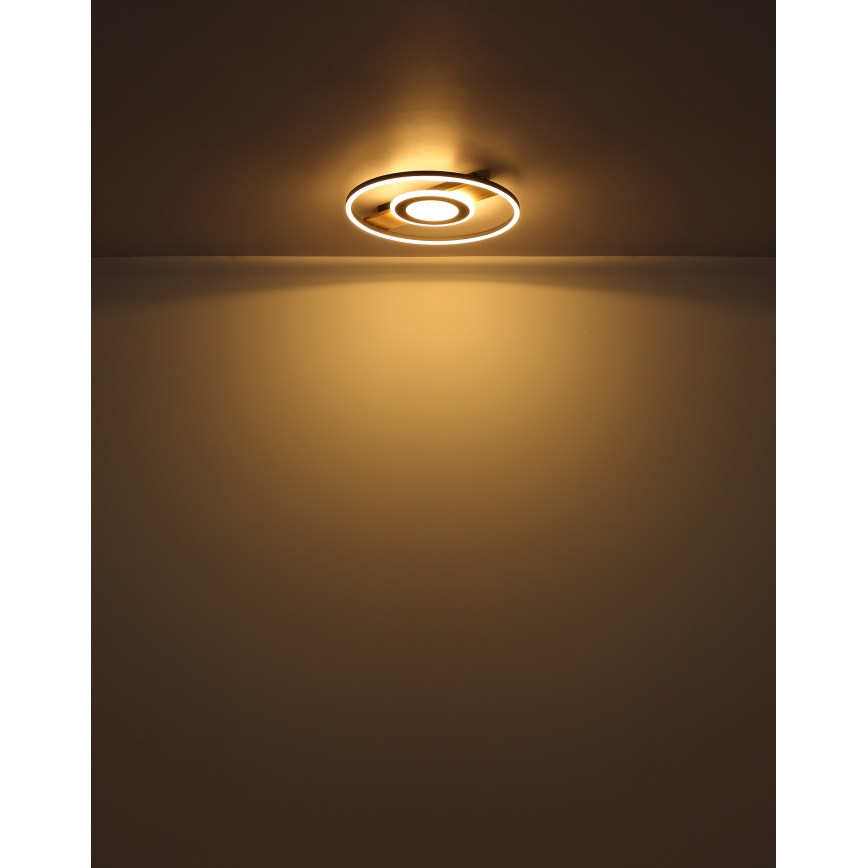 Globo - Plafonnier LED/24W/230V