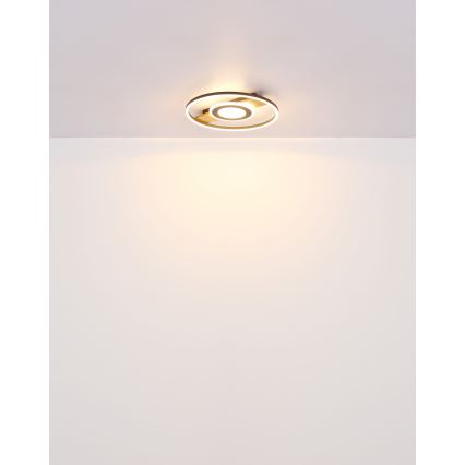 Globo - Plafonnier LED/24W/230V