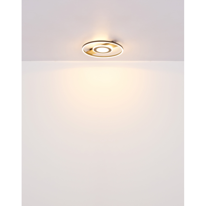 Globo - Plafonnier LED/24W/230V