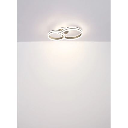 Globo - Plafonnier LED dimmable/72W/230V 2700-6000K 50x75 cm + télécommande