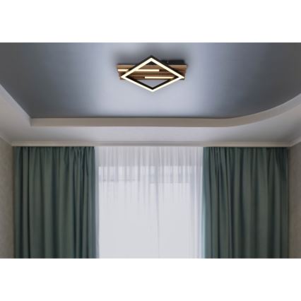 Globo - Plafonnier LED LED/12W/230V + LED/7W 3000K 31x33 cm