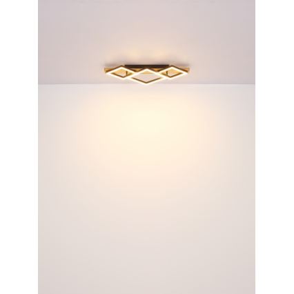 Globo - Plafonnier LED LED/24W/230V + LED/8W 3000K 31x61cm