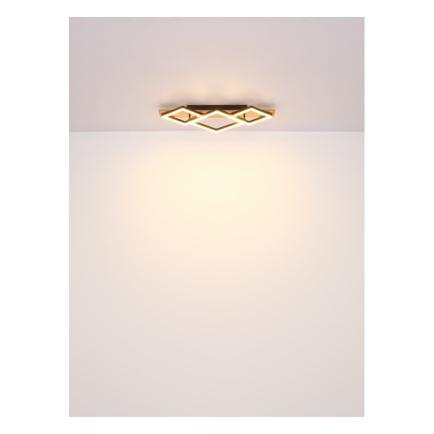 Globo - Plafonnier LED LED/24W/230V + LED/8W 3000K 31x61cm