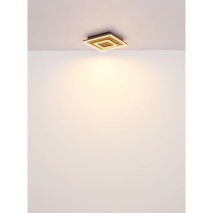Globo - Plafonnier LED/18W/230V 3000K 30x30 cm