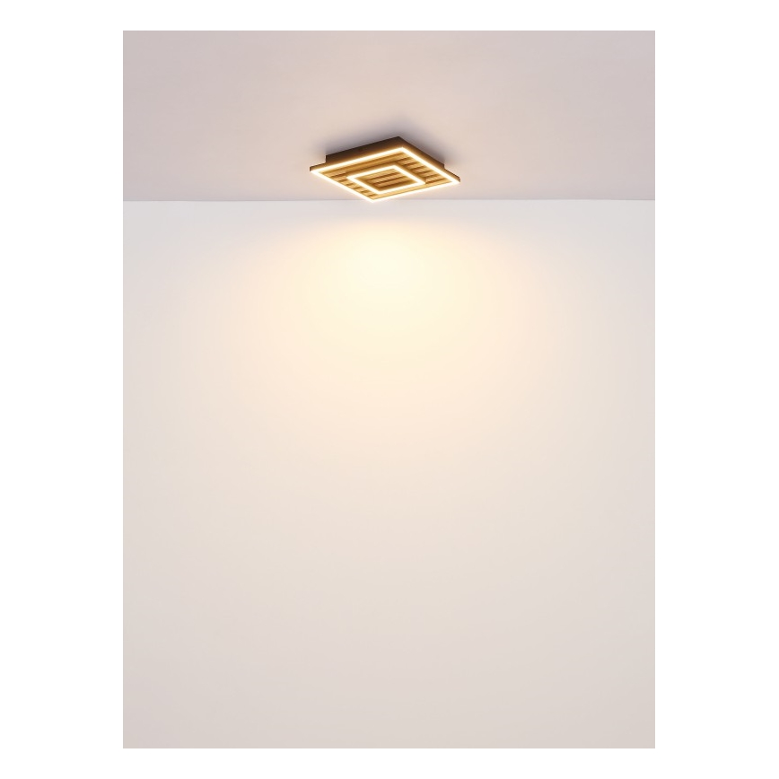 Globo - Plafonnier LED/18W/230V 3000K 30x30 cm