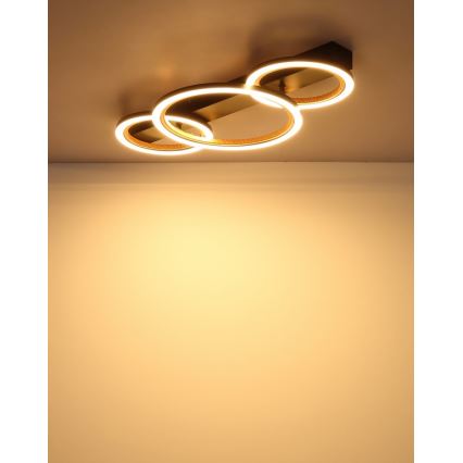 Globo - LED Plafonnier LED/40W/230V 3000K 58x30 cm