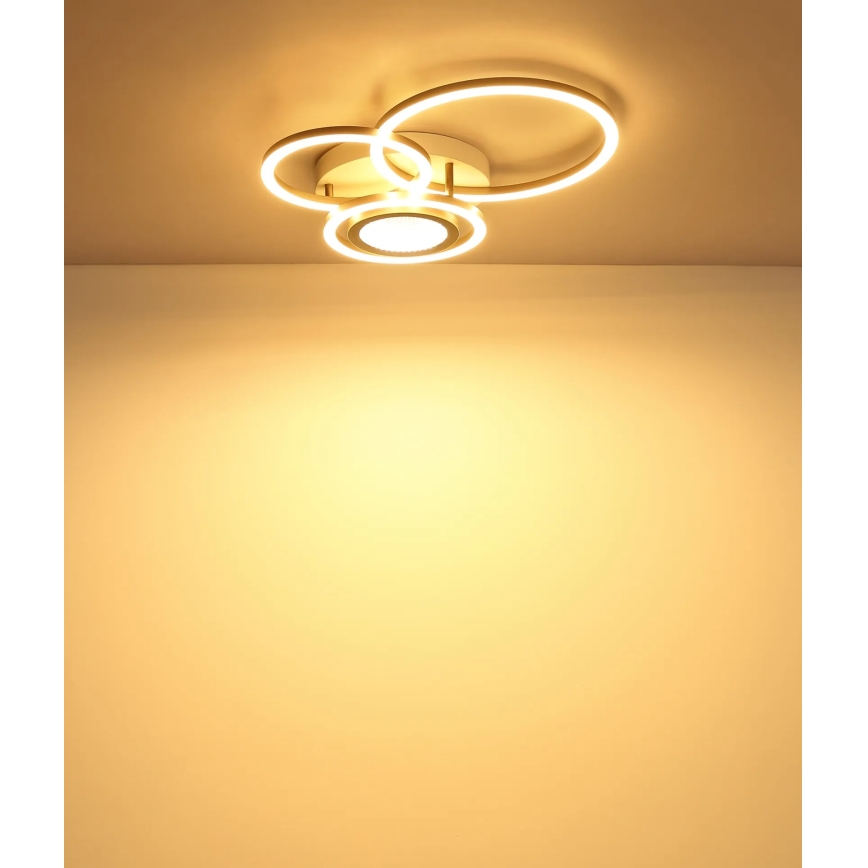 Globo - Plafonnier LED LED/40W/230V 3000K 49x39 cm