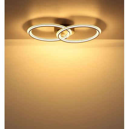 Globo - Plafonnier LED LED/30W/230V 3000K 33x54 cm