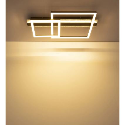 Globo - plafonnier LED LED/30W/230V 3000K 33x56 cm