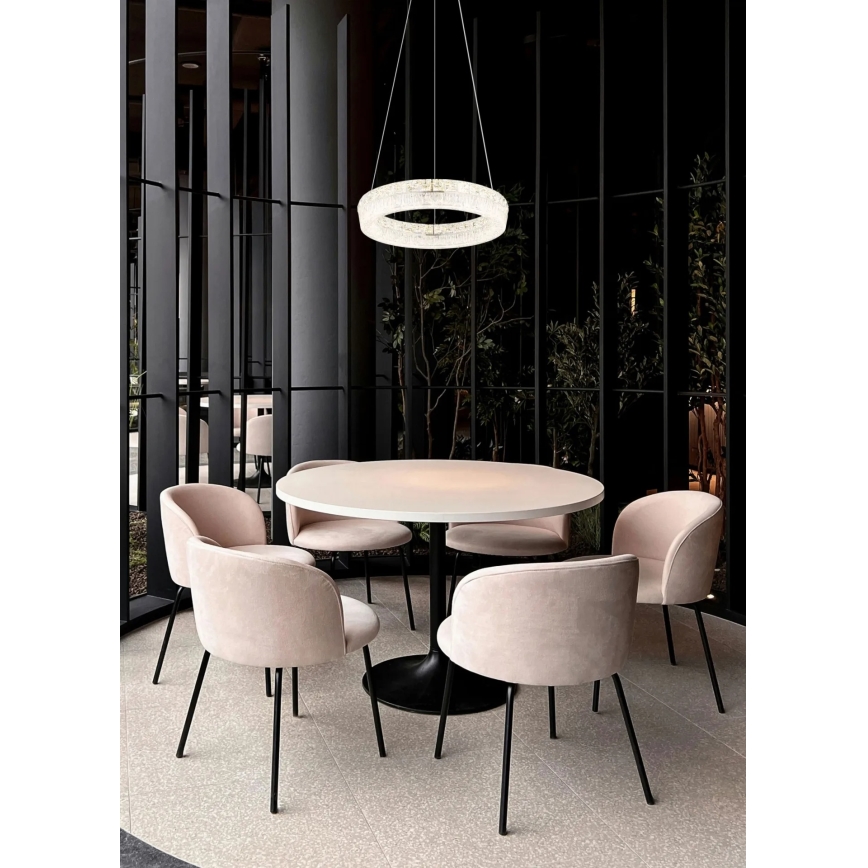 Globo - Suspension LED dimmable sur câble LED/24W/230V 2700-6000K transparente + télécommande