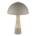 Globo - Lampe de table 1xE27ILLU/40W/230V grise