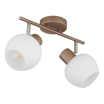 Globo - Luminaire à spots 2xE27/40W/230V