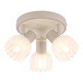 Globo - Luminaire à spots 3xE14/40W/230V
