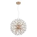 Globo - Lustre LED suspendu sur câble 8xG9/3,5W/230V Ø 40 cm doré