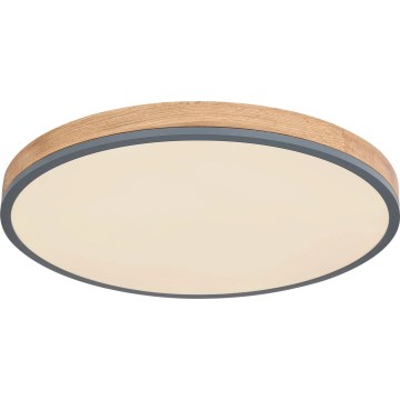 Globo - Plafonnier à intensité variable LED/40W/230V 2700-6500K d. 60 cm + télécommande marron/gris