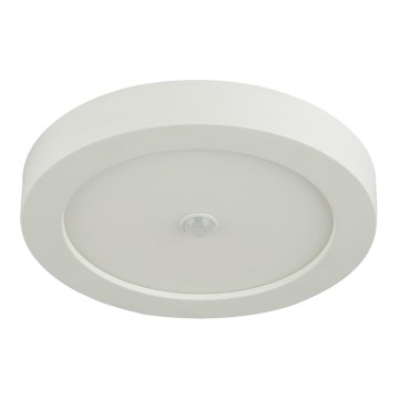 Globo - Plafonnier d'extérieur LED avec détecteur LED/18W/230V IP44