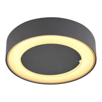 Globo - Plafonnier extérieur LED/12W/230V IP54