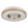 Globo - Plafonnier LED/24W/230V