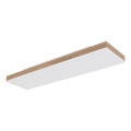 Globo - Plafonnier LED dimmable 24 W/230 V 2700–6500 K 20×80 cm avec télécommande