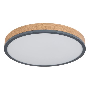 Globo - Plafonnier LED dimmable 24W/230V 3000-6500K Ø 45 cm