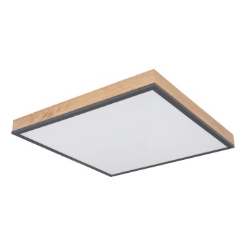 Globo - Plafonnier LED dimmable LED/24W/230V 3000-6500K 45x45 cm
