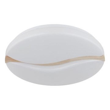 Globo - Plafonnier LED LED/24W/230V 3000/4200/6000K Ø 39 cm