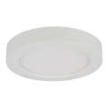 Globo - Plafonnier LED pour salle de bains LED/18W/230V IP44