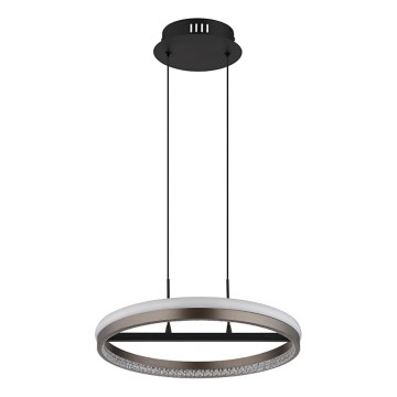 Globo - Suspension LED sur câble, 40 W, 230 V, 3000/4000/6000 K, Ø 39,7 cm