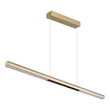 Globo - Suspension LED sur câble LED/24W/230V 3000K
