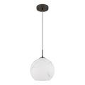 Globo - Suspension sur câble 1xE27/60W/230V Ø 25 cm