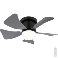 Globo - Ventilateur de plafond LED dimmable LED/10W/230V 3000-6500K gris + télécommande
