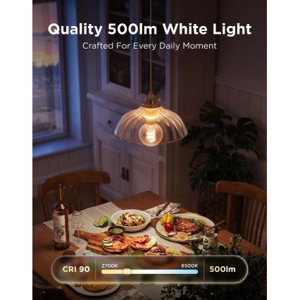 Govee - Ampoule LED RGBWW dimmable Smart MATTER G80 E27/5W/230V 2700-6500K Wi-Fi
