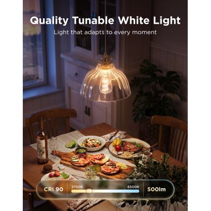 Govee - Ampoule LED RGBWW dimmable connectée MATTER ST64 E27/5W/230V 2700-6500K Wi-Fi