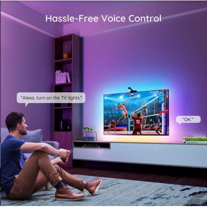 Govee - DreamView TV 55-65 SMART LED rétroéclairage RGBIC Wi-Fi
