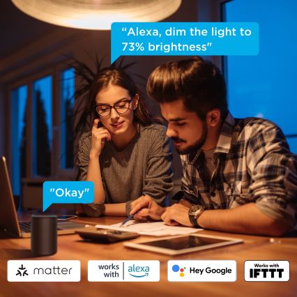 Govee - Lot de 2 ampoules LED dimmables Smart MATTER A60 E27/9W/230V 2700-6500K Wi-Fi