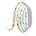 Govee - Extension de ruban  LED RGBWWIC à intensité variable Strip Light 2 Pro 1m Wi-Fi Matter