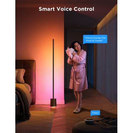 Govee - Lampadaire à intensité variable avec haut-parleur Pro RGBICWW 2200-6500K Wi-Fi + télécommande