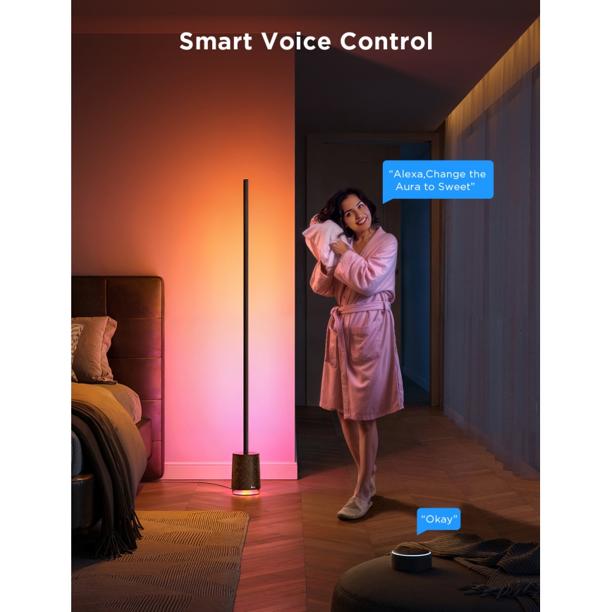 Govee - Lampadaire à intensité variable avec haut-parleur Pro RGBICWW 2200-6500K Wi-Fi + télécommande