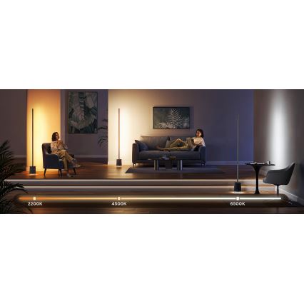 Govee - Lampadaire à intensité variable avec haut-parleur Pro RGBICWW 2200-6500K Wi-Fi + télécommande
