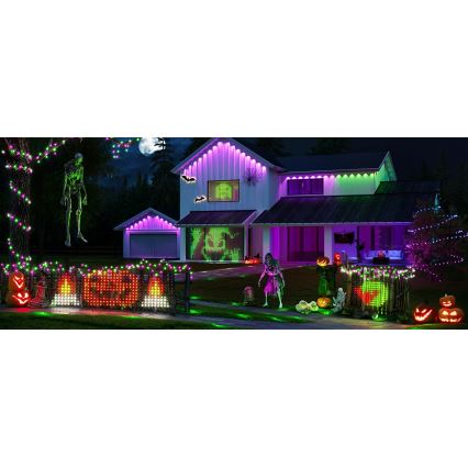 Govee - LED RGBIC Filet lumineux d'extérieur 143x85cm Wi-Fi Matter IP65