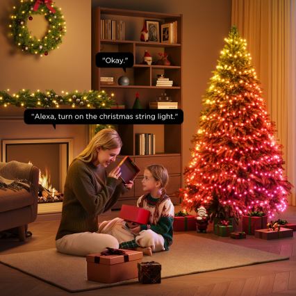 Govee - LED RGBICW guirlande lumineuse de Noël extérieure 2700-6500K 20m Wi-Fi Matter IP65