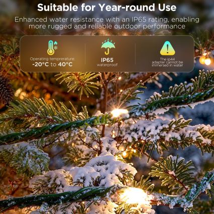 Govee - LED RGBICW guirlande lumineuse de Noël extérieure 2700-6500K 20m Wi-Fi Matter IP65