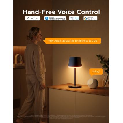 Govee - LED RGBICWW Lampe de table à intensité réglable CLASSIC MATTER LED/10W/5V 4800mAh Wi-Fi